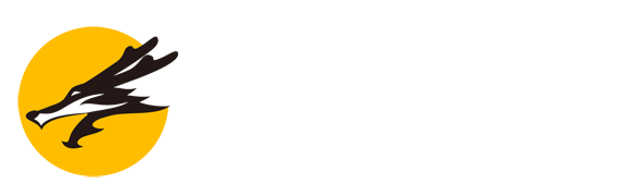 599比分