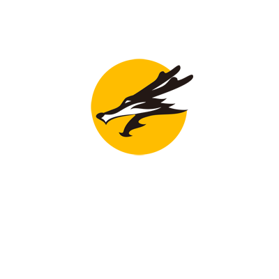 599比分